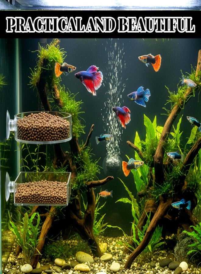 Zelphvt 2Pcs Shrimp Feeding Dish, Aquarium Feeding Dish with Suction Cup Acrylic Fish Food Feeder for Freshwater and Saltwater Tanks Round and Square - Image 4